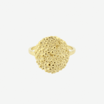 Dots Circle ring i forgyldt sterling sølv