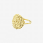 Dots Circle ring i forgyldt sterling sølv