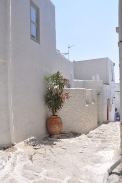 House for rent Chora Amorgos