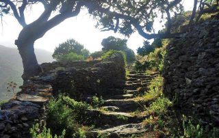 Walking Chora to Katapola