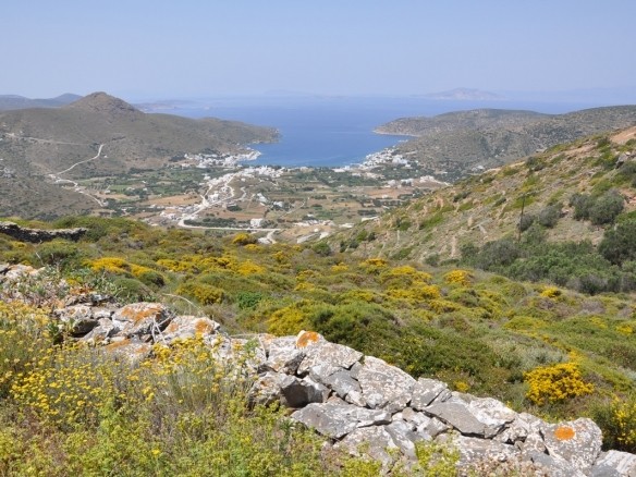 The plot overlooking Katapola and the sea
