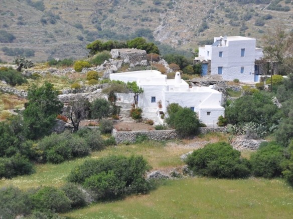 View over the house