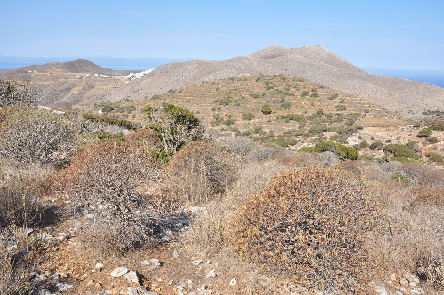 View towards Tholaria and north View towards Tholaria and north