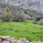 View over the land