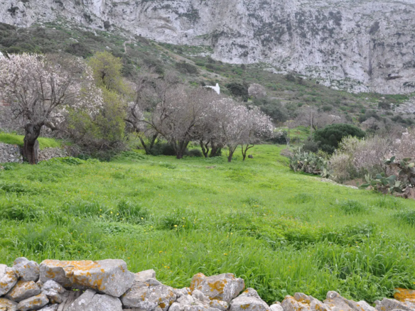 View over the land