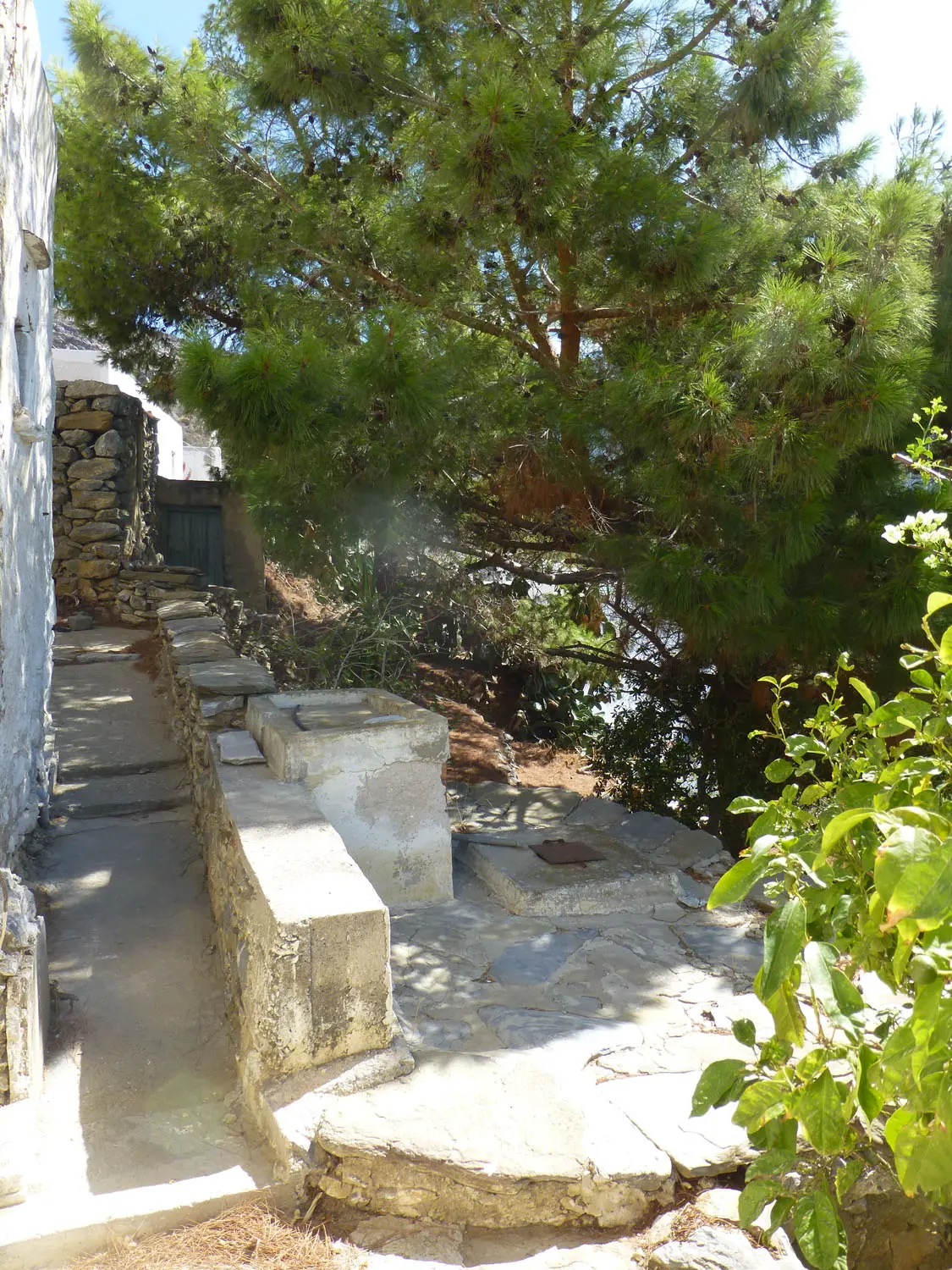 IDH317 (17) Charmy house in Tholaria