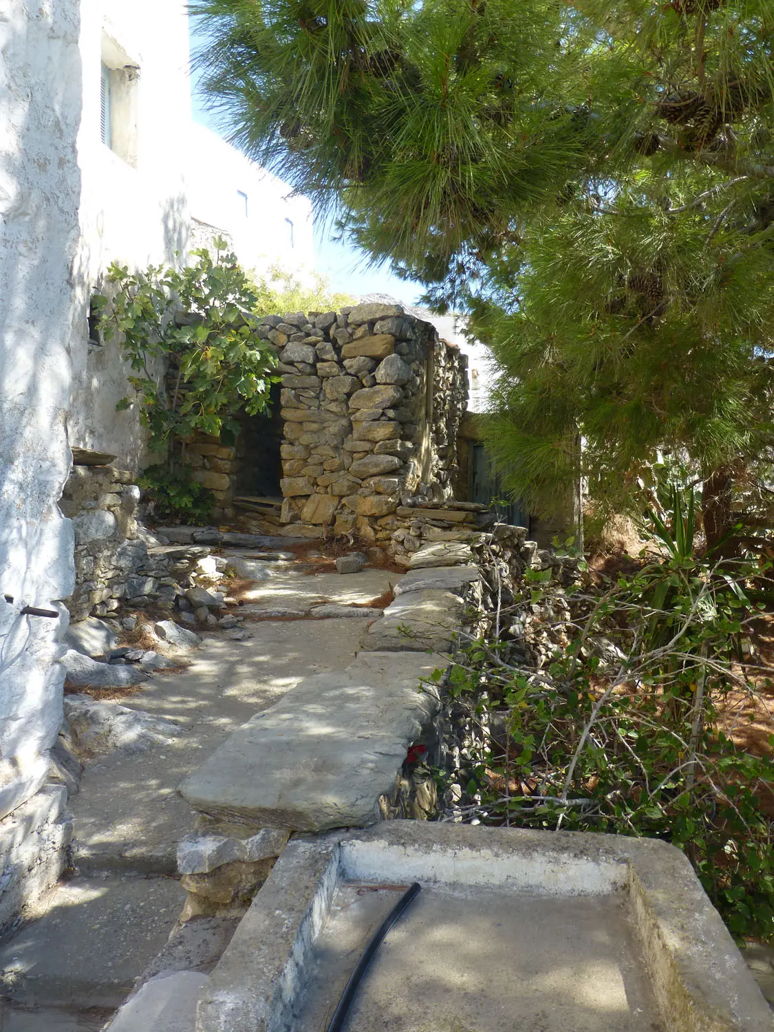 IDH317 (18) Charmy house in Tholaria