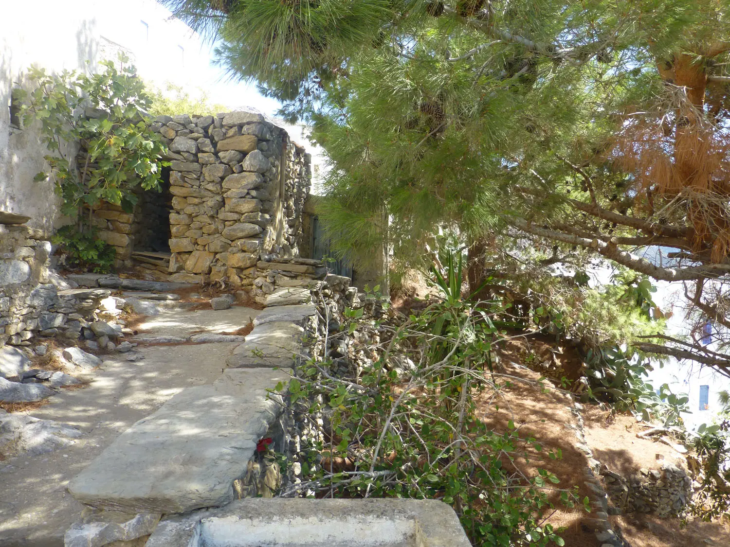 IDH317 (19) Charmy house in Tholaria