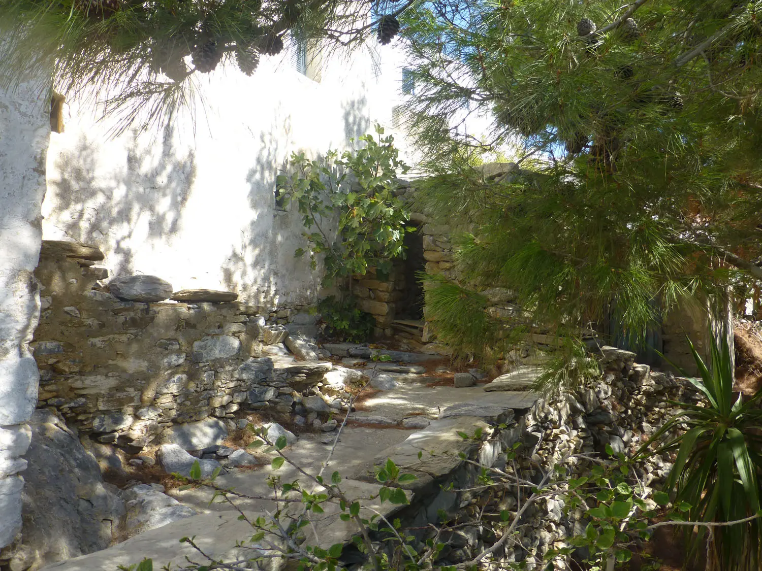 IDH317 (20) Charmy house in Tholaria