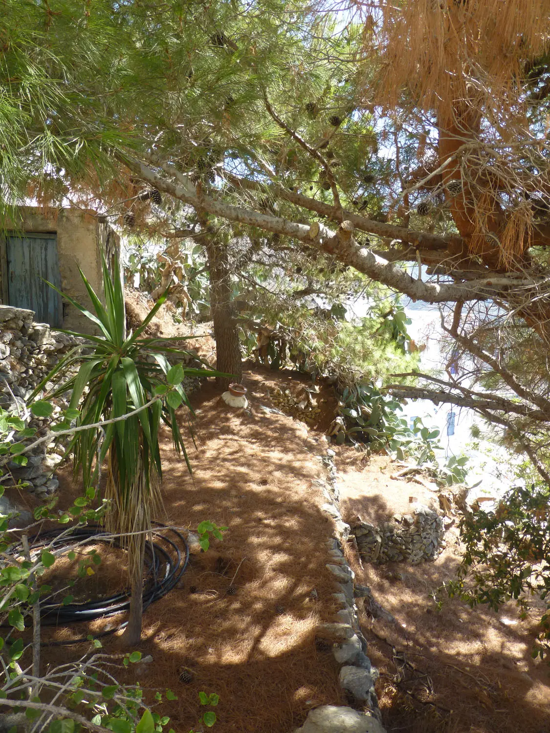 IDH317 (21) Charmy house in Tholaria
