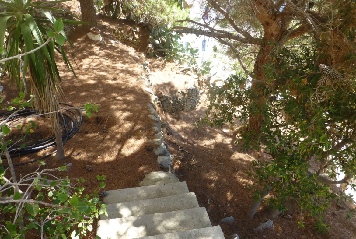 Charmy house in Tholaria