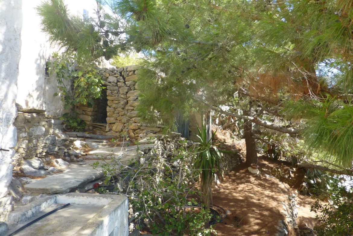 Charmy house in Tholaria