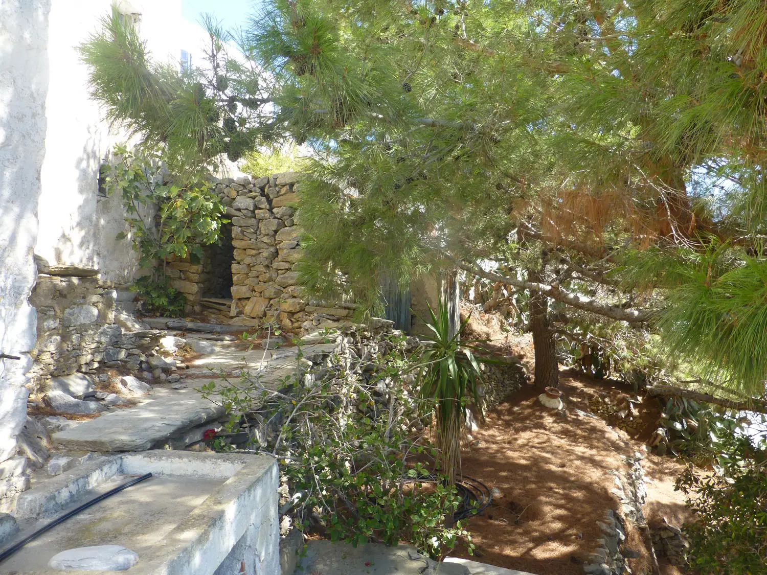 IDH317 (23) Charmy house in Tholaria