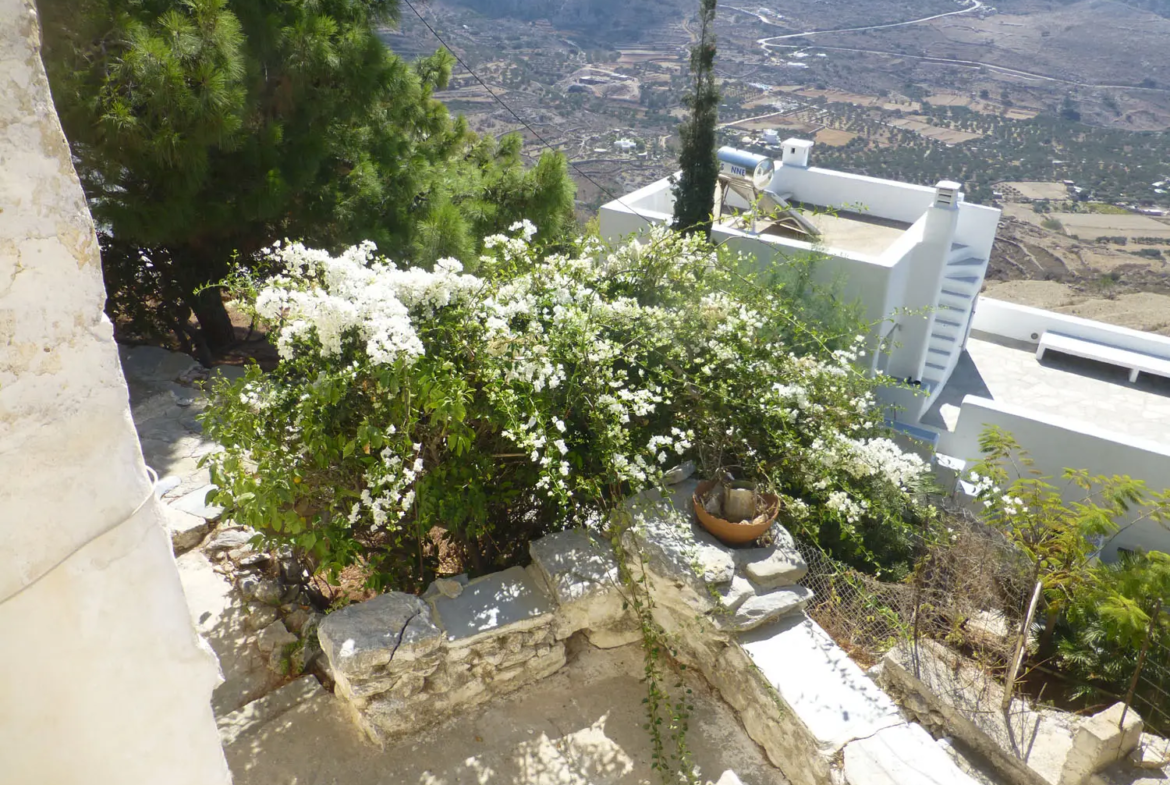 Charmy house in Tholaria