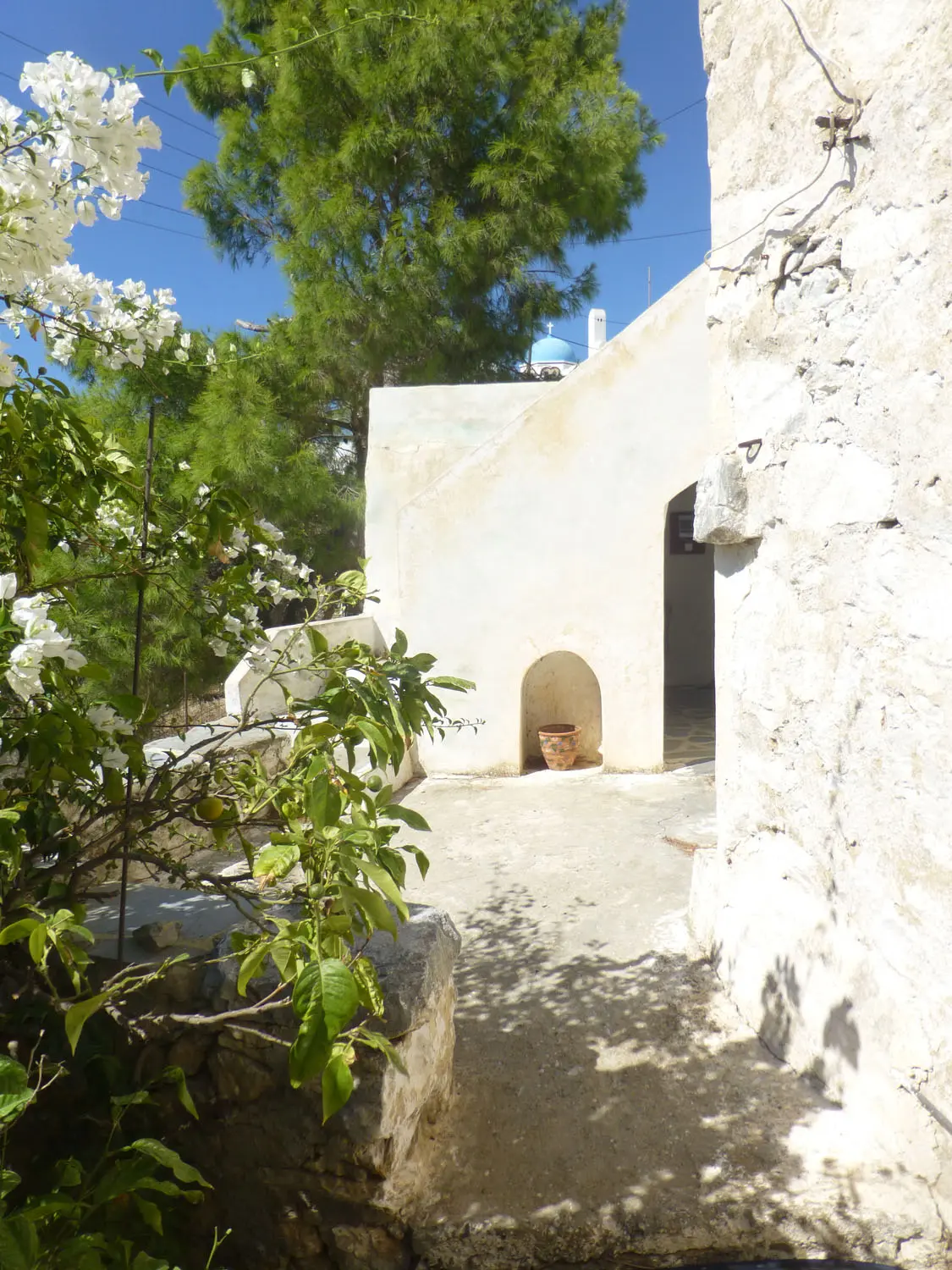 IDH317 (50) Charmy house in Tholaria