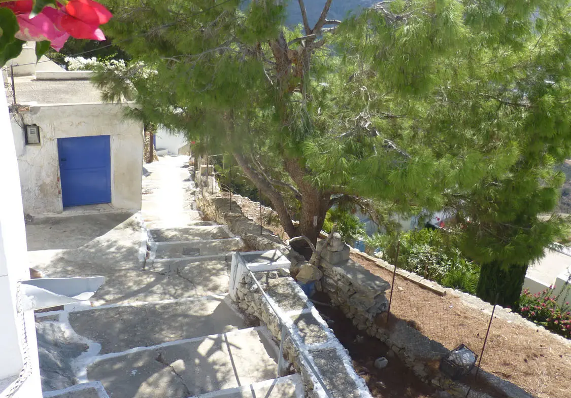 Charming lush land in Tholaria