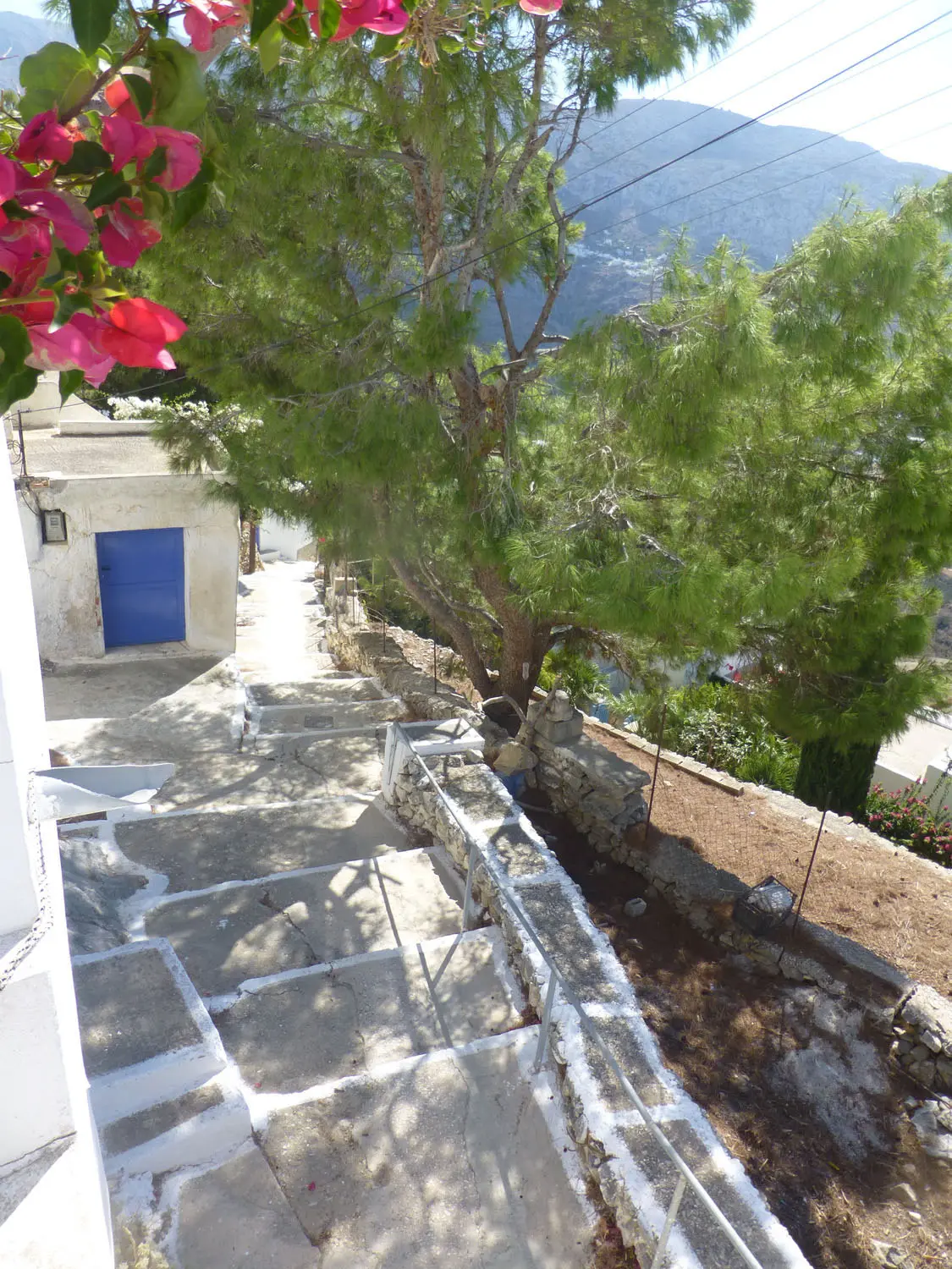 IDL39A (1) Charming lush land in Tholaria