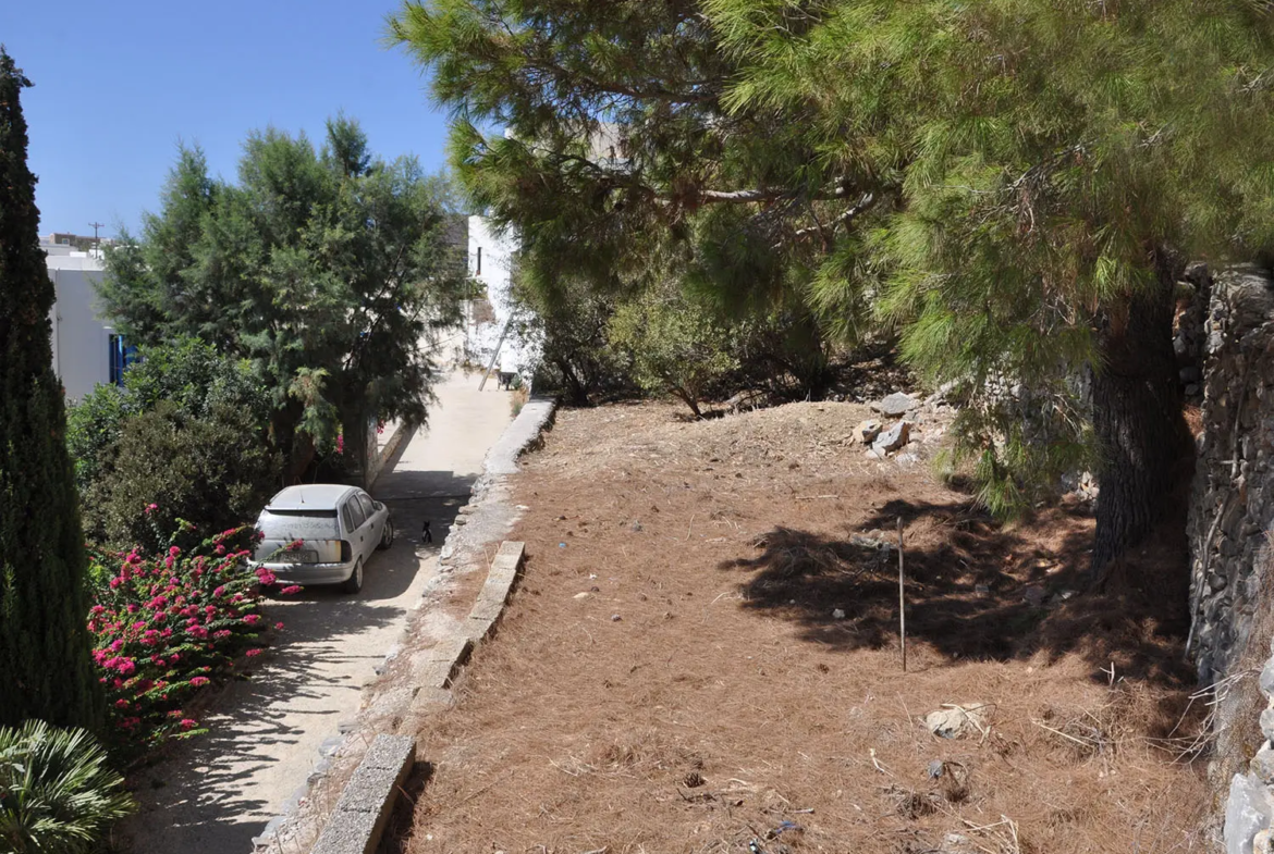 Charming lush land in Tholaria