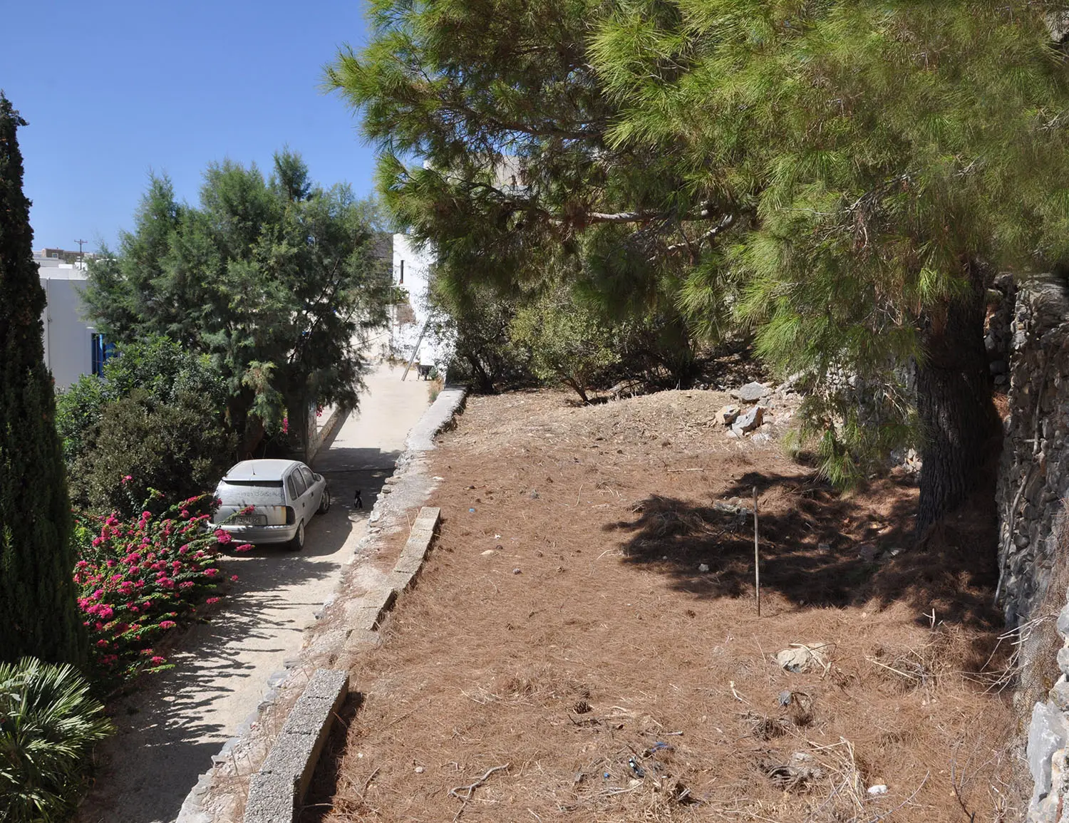 IDL39A (11) Charming lush land in Tholaria