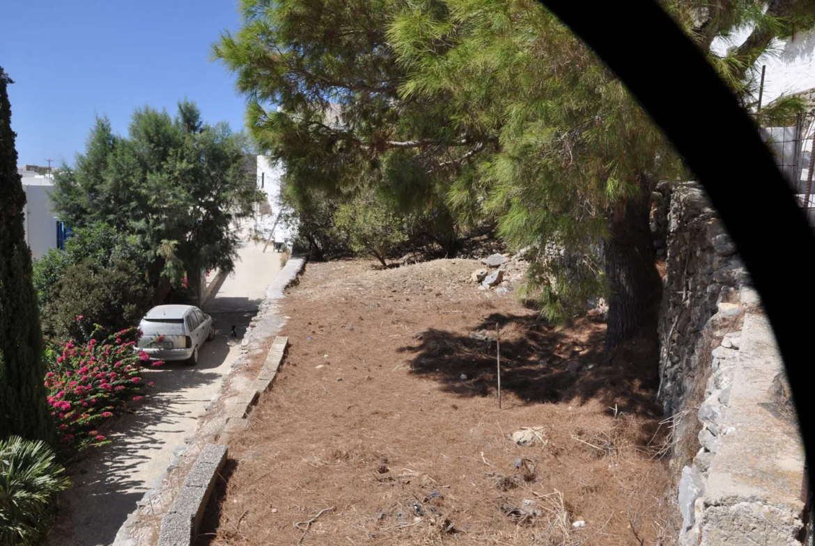 Charming lush land in Tholaria