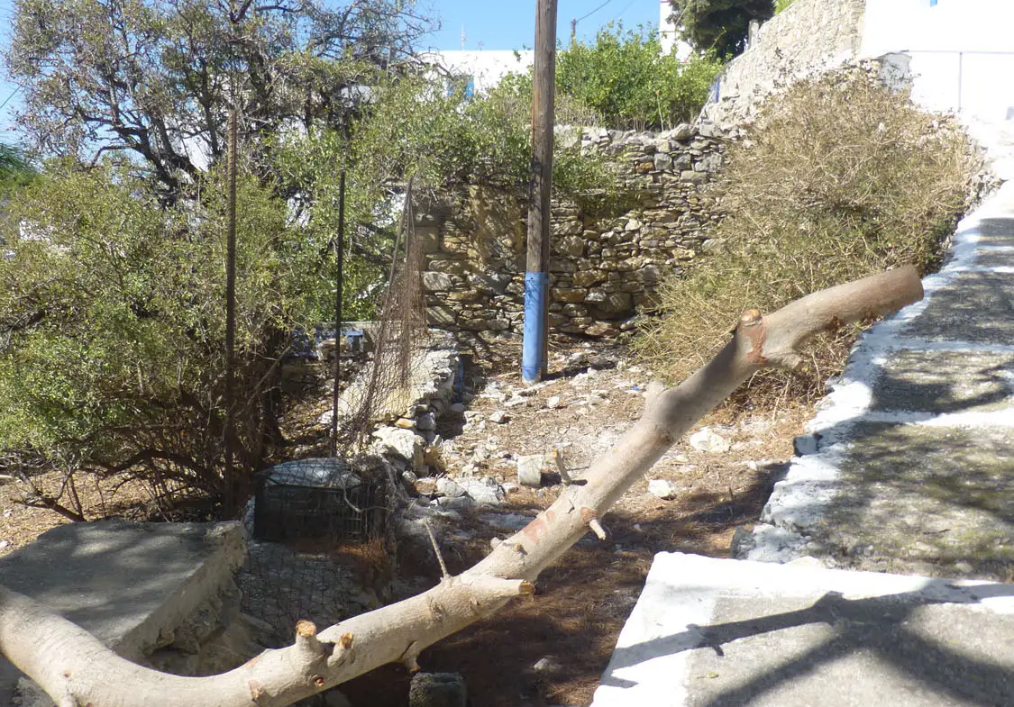 Charming lush land in Tholaria