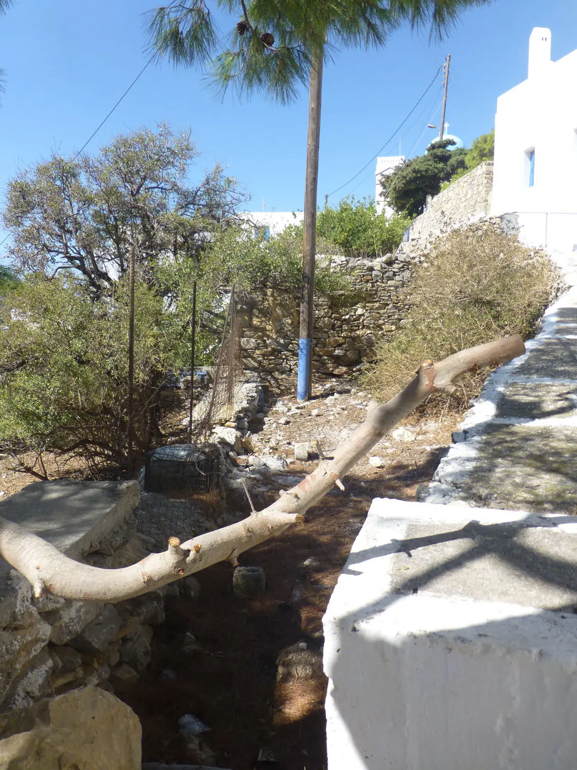 IDL39A (2) Charming lush land in Tholaria