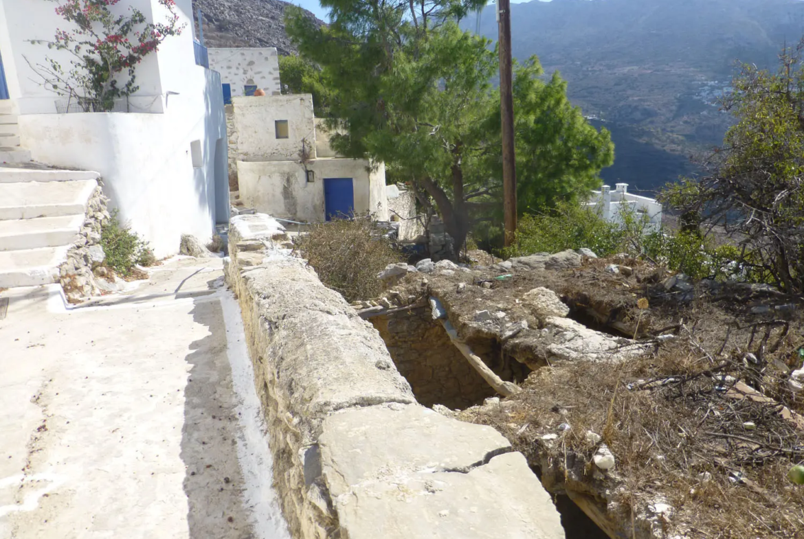 Charming lush land in Tholaria