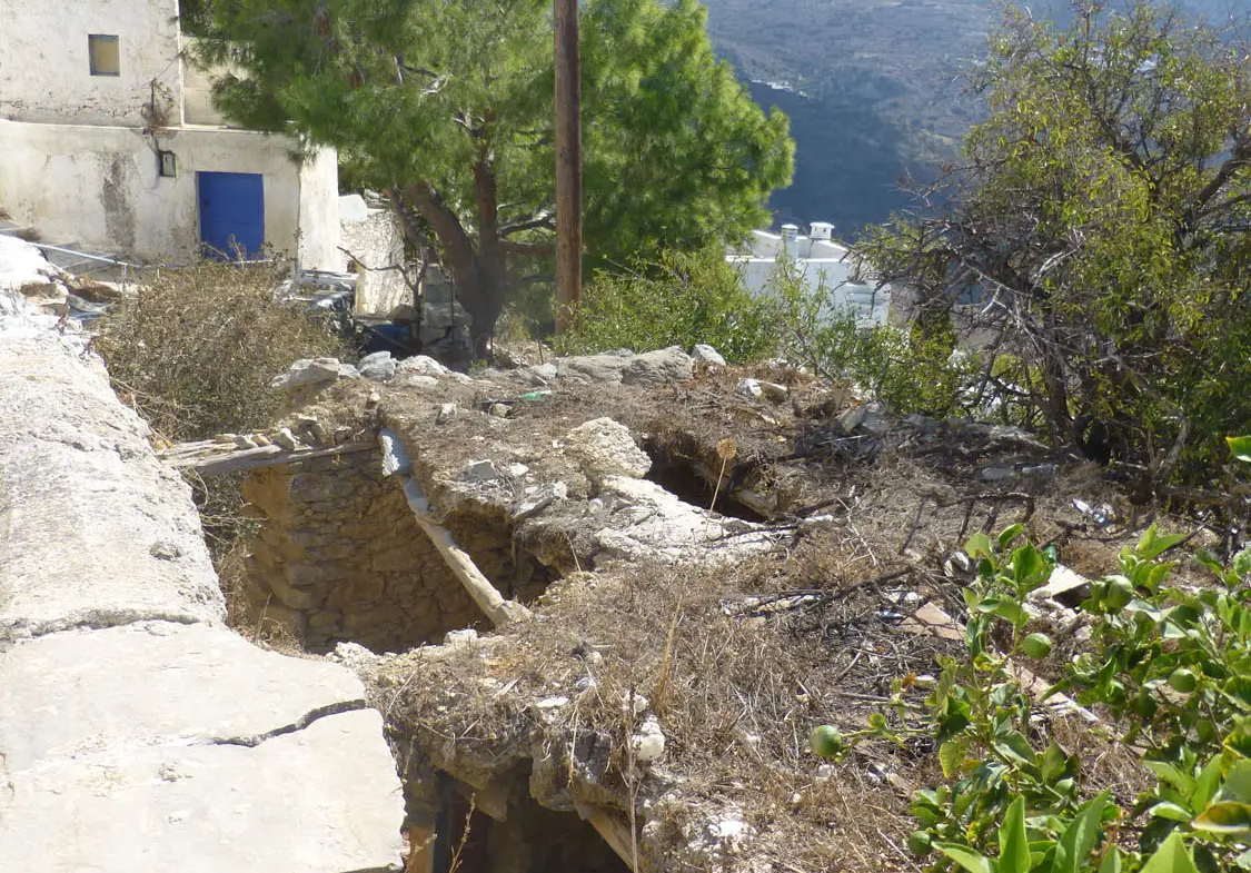 Charming lush land in Tholaria