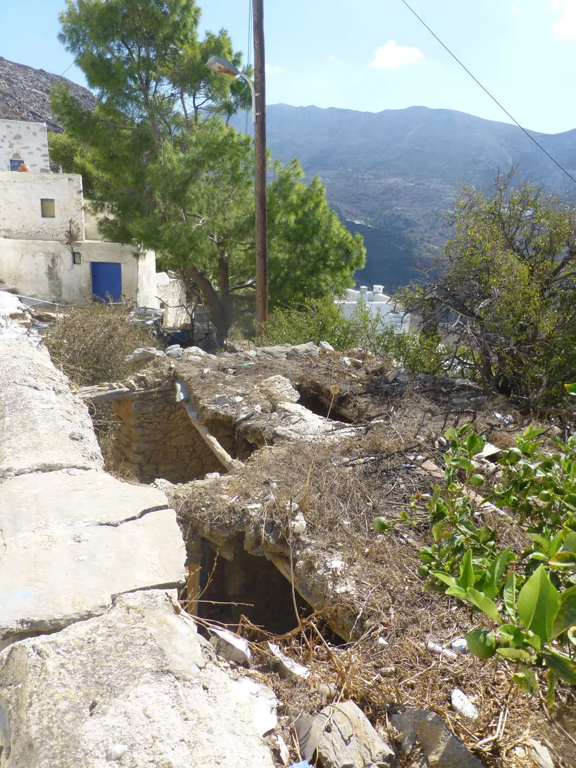 IDL39A (4) Charming lush land in Tholaria