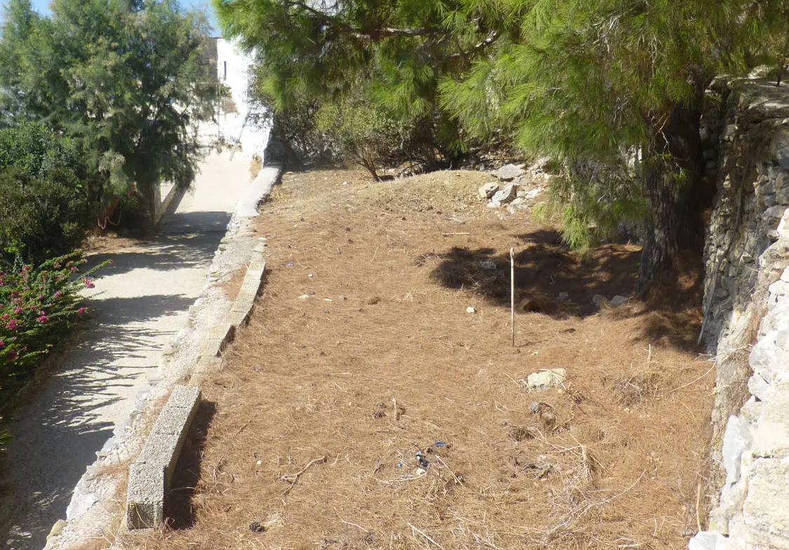 Charming lush land in Tholaria