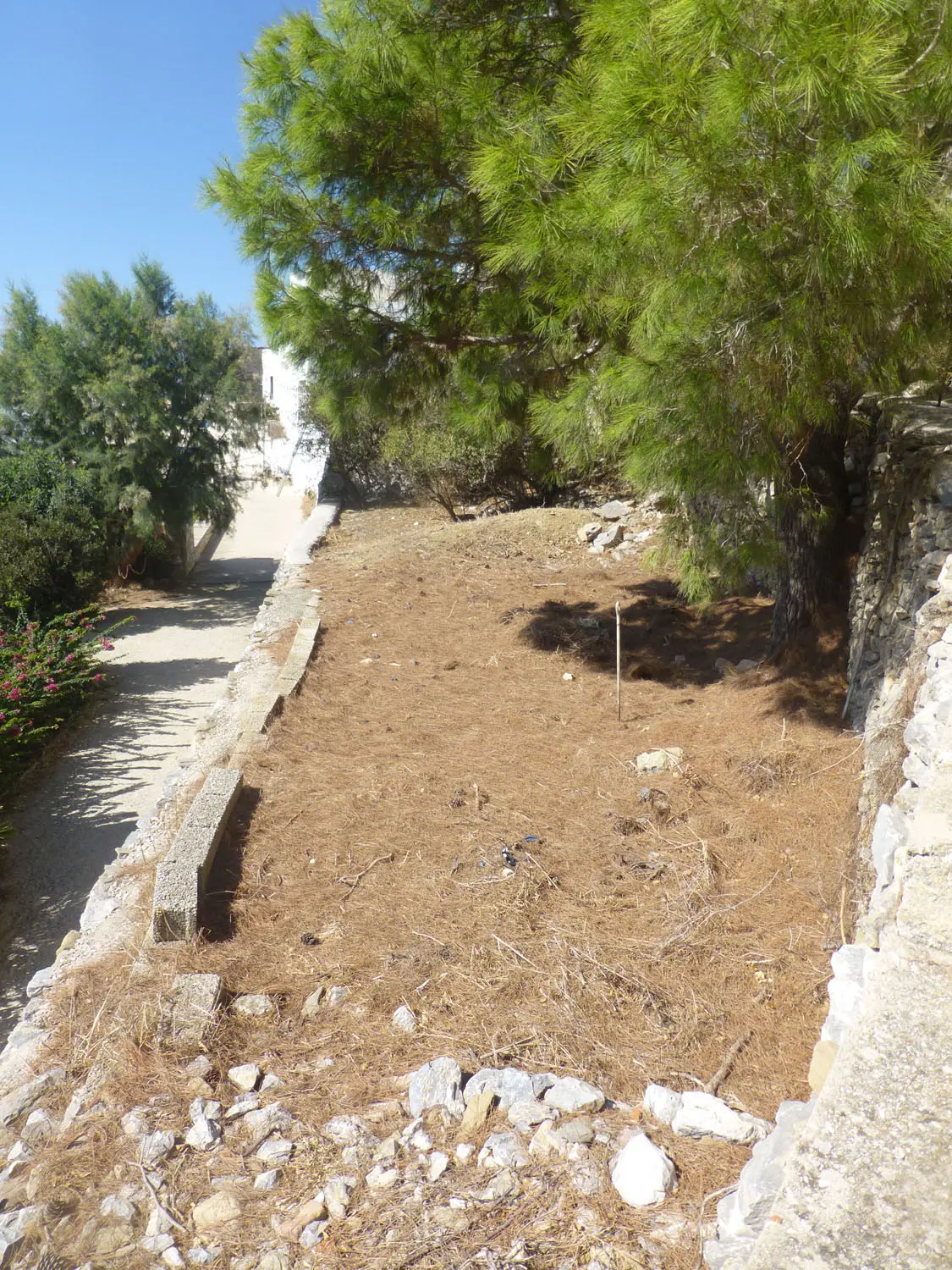 IDL39A (6) Charming lush land in Tholaria