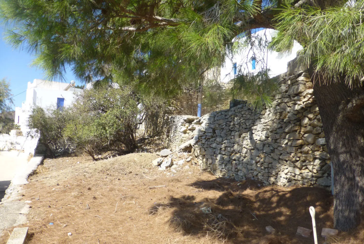 Charming lush land in Tholaria