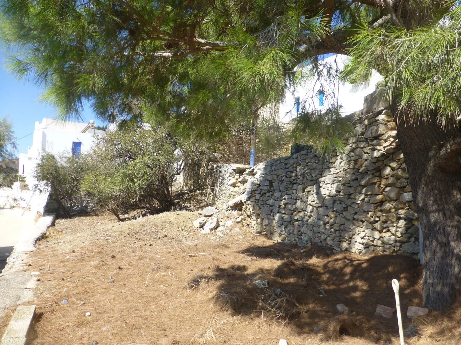 IDL39A (7) Charming lush land in Tholaria