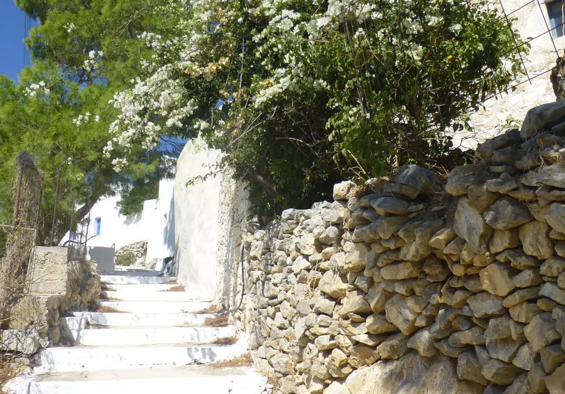 Charming lush land in Tholaria