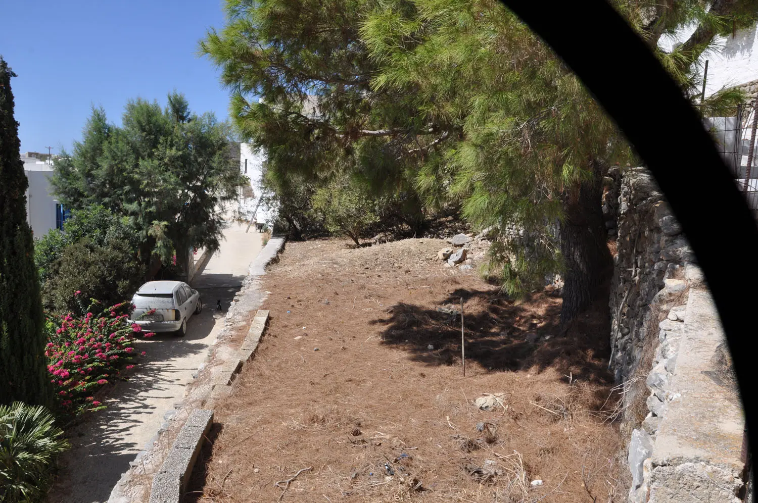 IDL39A Charming lush land in Tholaria