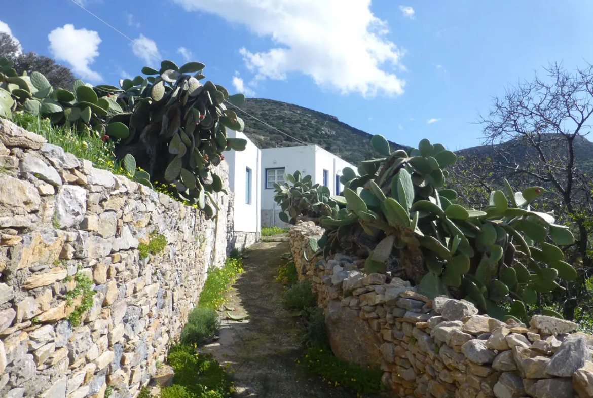 The entrance to the property