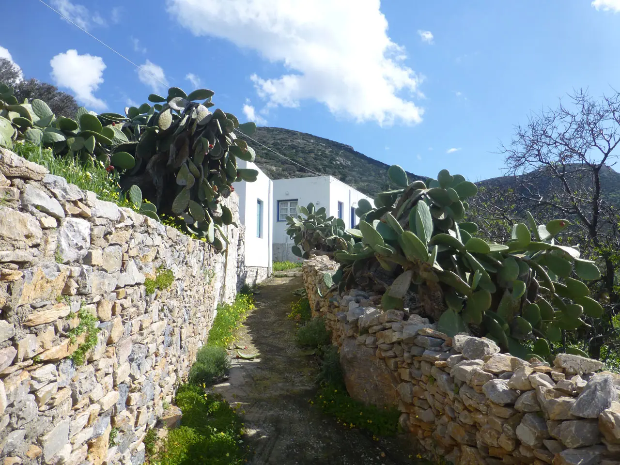 The entrance to the property