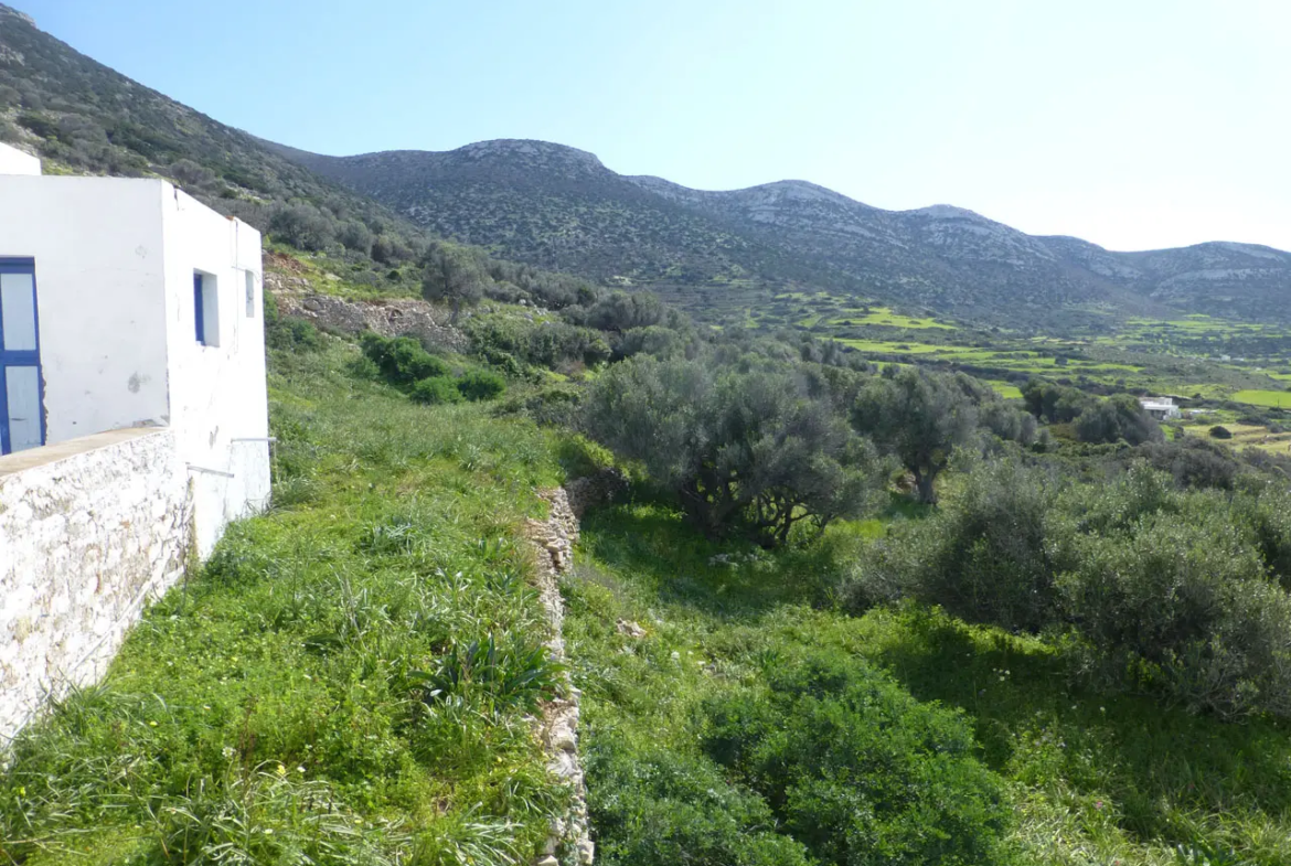 View over the land