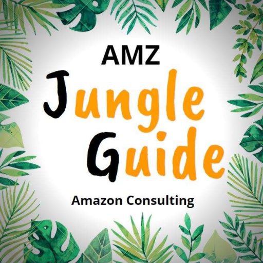 Amazon Experte Amazon Consulting Amazon Freelancer
