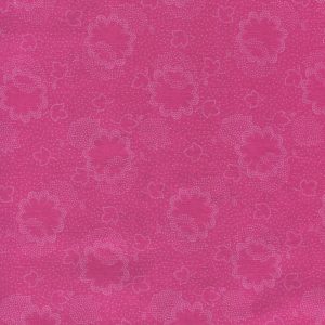 DHER1021-RASPBERRY