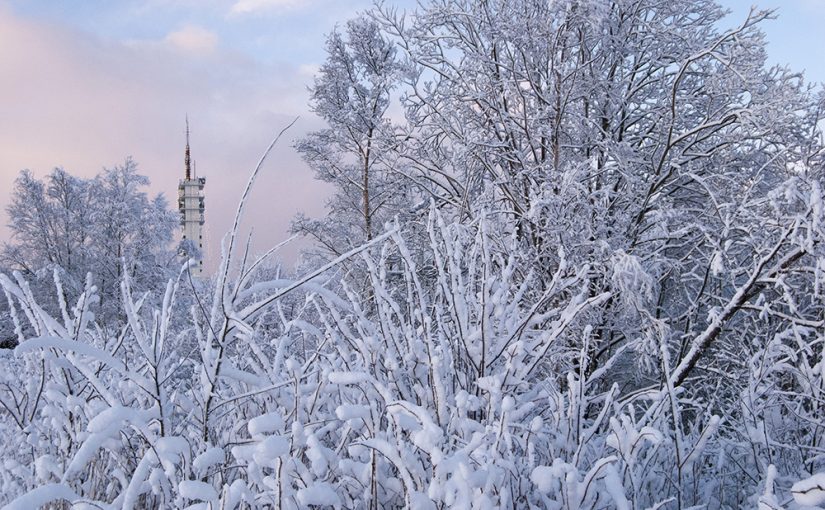 Stavanger snow