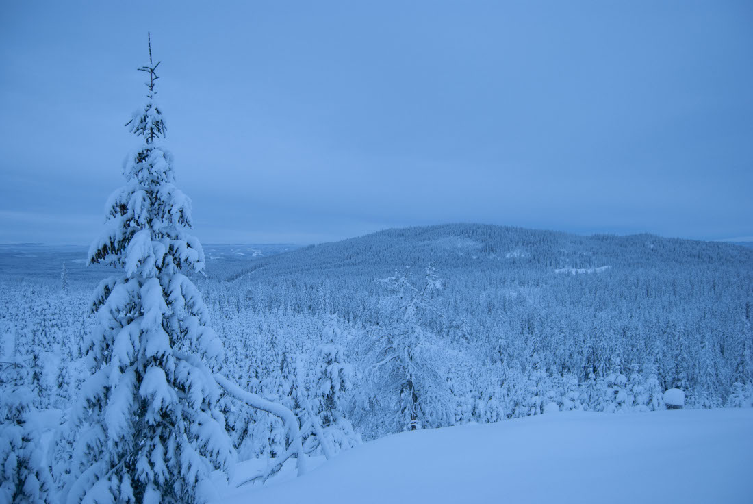 Skyberg in December