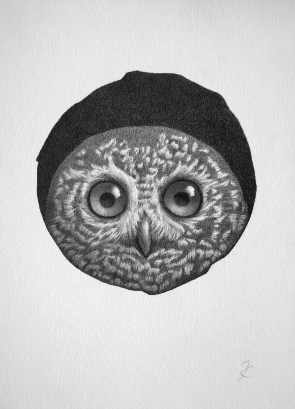Owl Hole