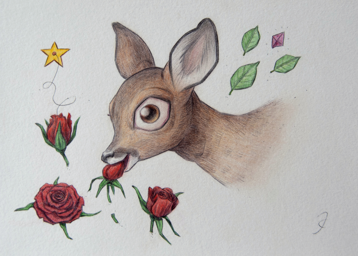 Deer Rosebud