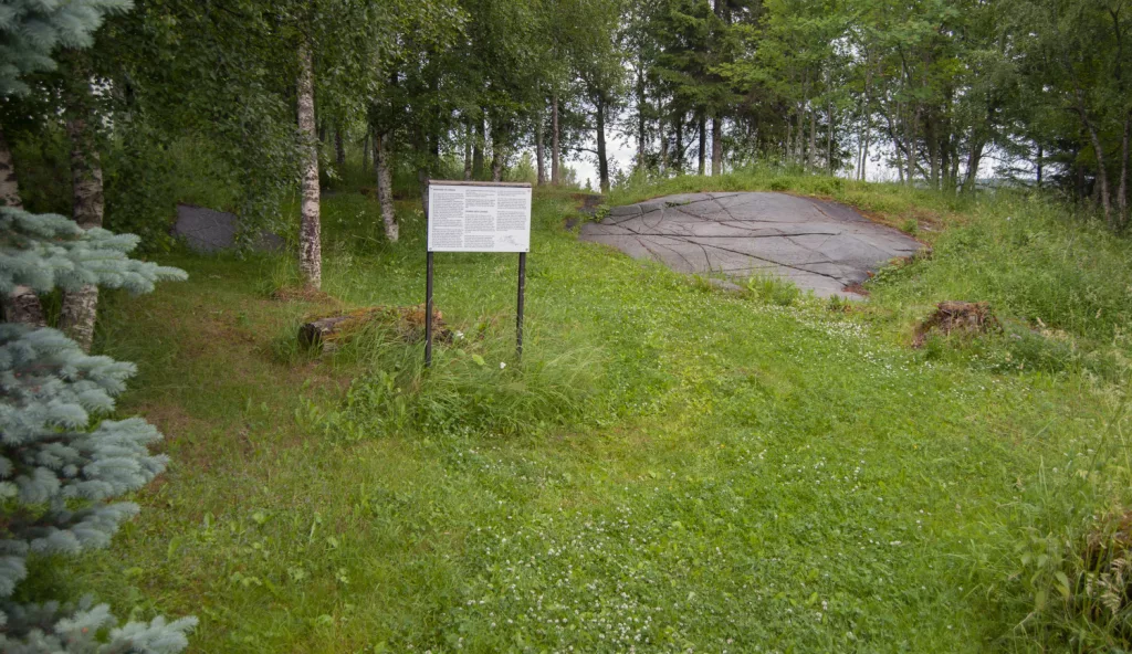 Photograph of the petroglyphs site at Evenhus.