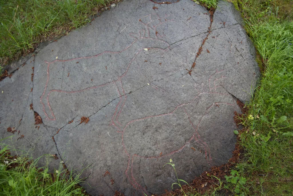 Photograph of petroglyphs at Evenhus.