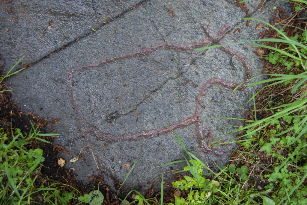 Photograph of petroglyphs at Evenhus.