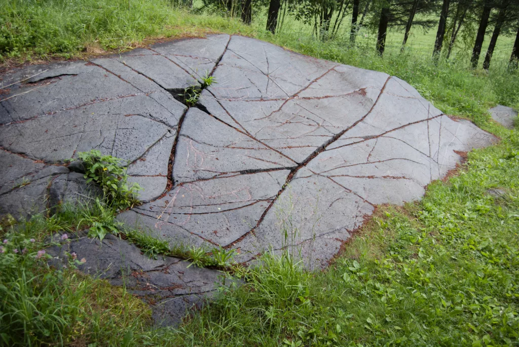 Photograph of petroglyphs at Evenhus.