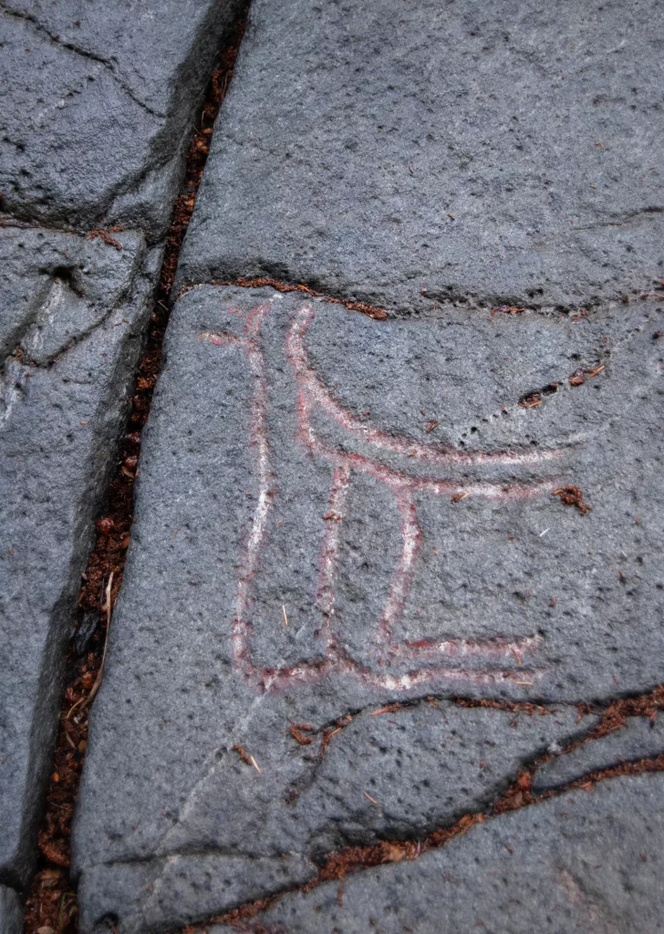 Photograph of petroglyphs at Evenhus.