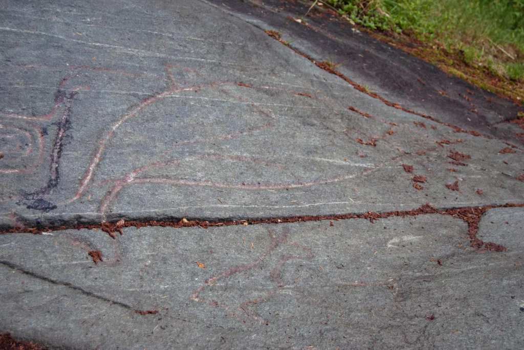 Photograph of petroglyphs at Evenhus.